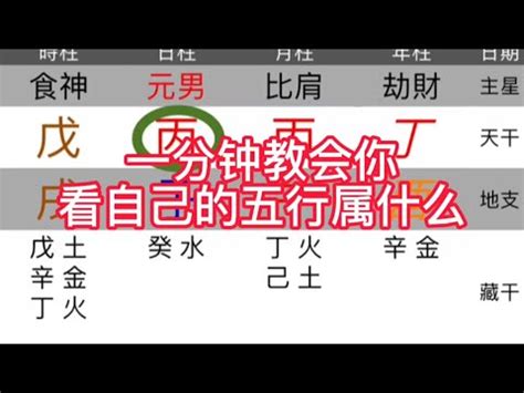 五行屬性 金|免費生辰八字五行屬性查詢、算命、分析命盤喜用神、喜忌